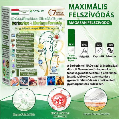 DOTALE Metabolic Nano Microneedle Patch